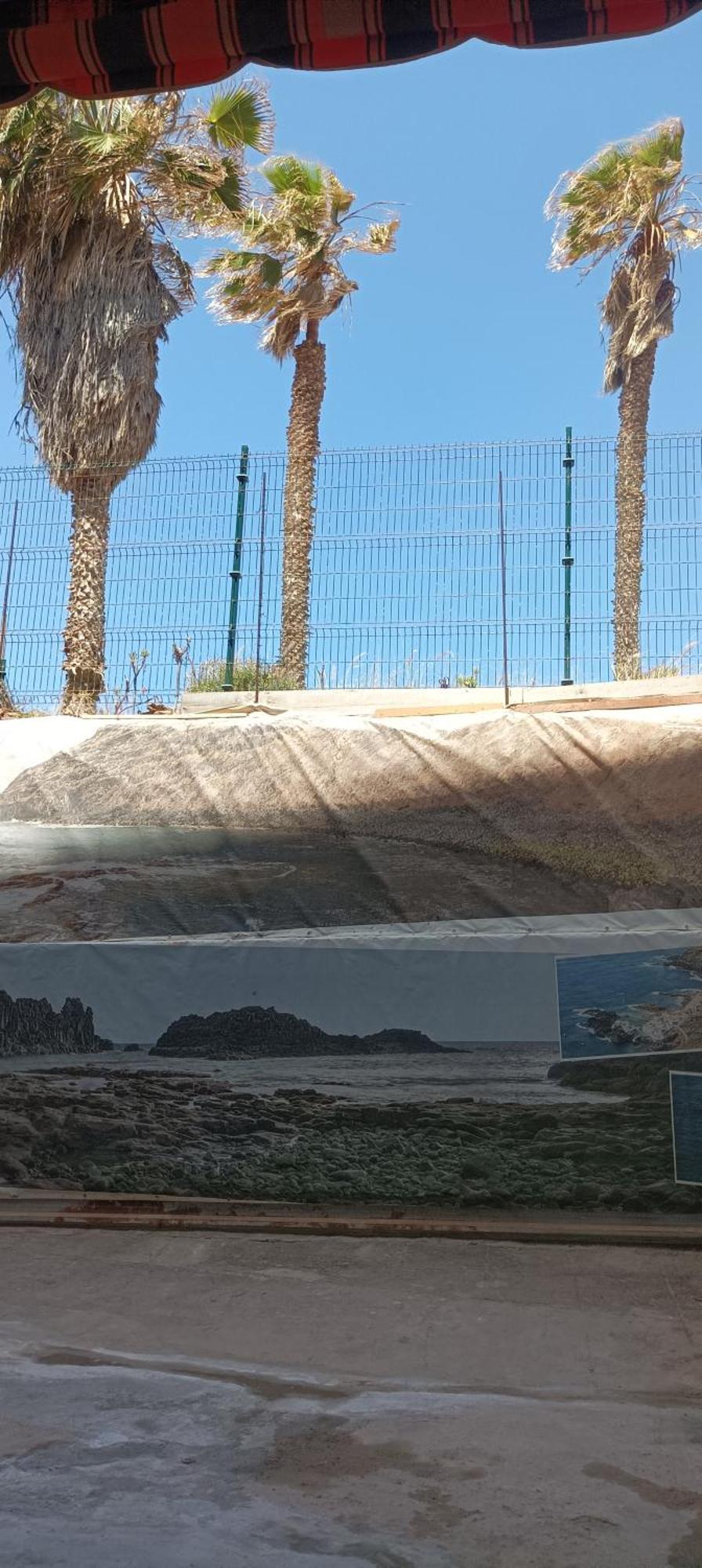 Beautiful Beach Corner سانتا كروز دي تينيريف المظهر الخارجي الصورة